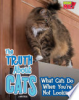 The_truth_about_cats