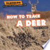 How_to_track_a_deer