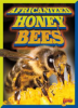 Africanized_honeybees