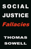 Social_justice_fallacies