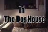 In_the_dog_house