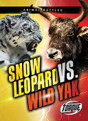 Snow_leopard_vs__wild_yak