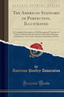 The_American_standard_of_perfection