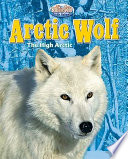 Arctic_wolf