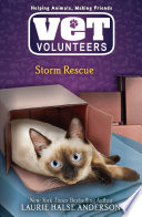 Storm_rescue