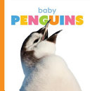 Baby_penguins