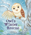 Owl_s_winter_rescue