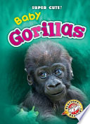Baby_Gorillas