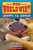 Coyote_vs__dingo