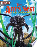 The_ant_s_nest