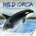Wild_orca