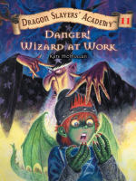 Danger__wizard_at_work