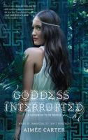 Goddess_interrupted