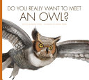 Do_you_really_want_to_meet_an_owl_