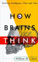 How_brains_think