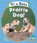 It_s_a_baby_prairie_dog_