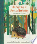 The_proper_way_to_meet_a_hedgehog