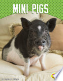Mini_pigs