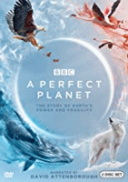 A_Perfect_Planet