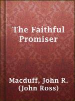 The_Faithful_Promiser