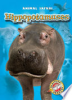 Hippopotamuses