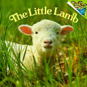 The_little_lamb
